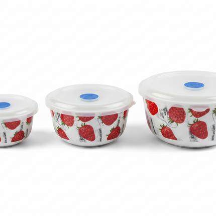 Lunch Box Container Set 3pcs