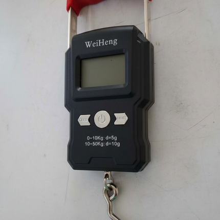 Luggage Scale