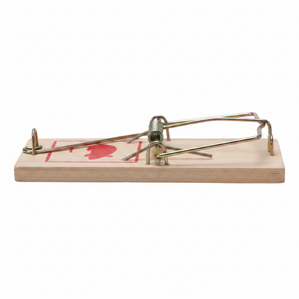 Mouse Trap