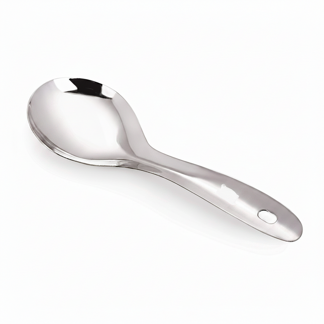 Stainless Steel Serving Spoon